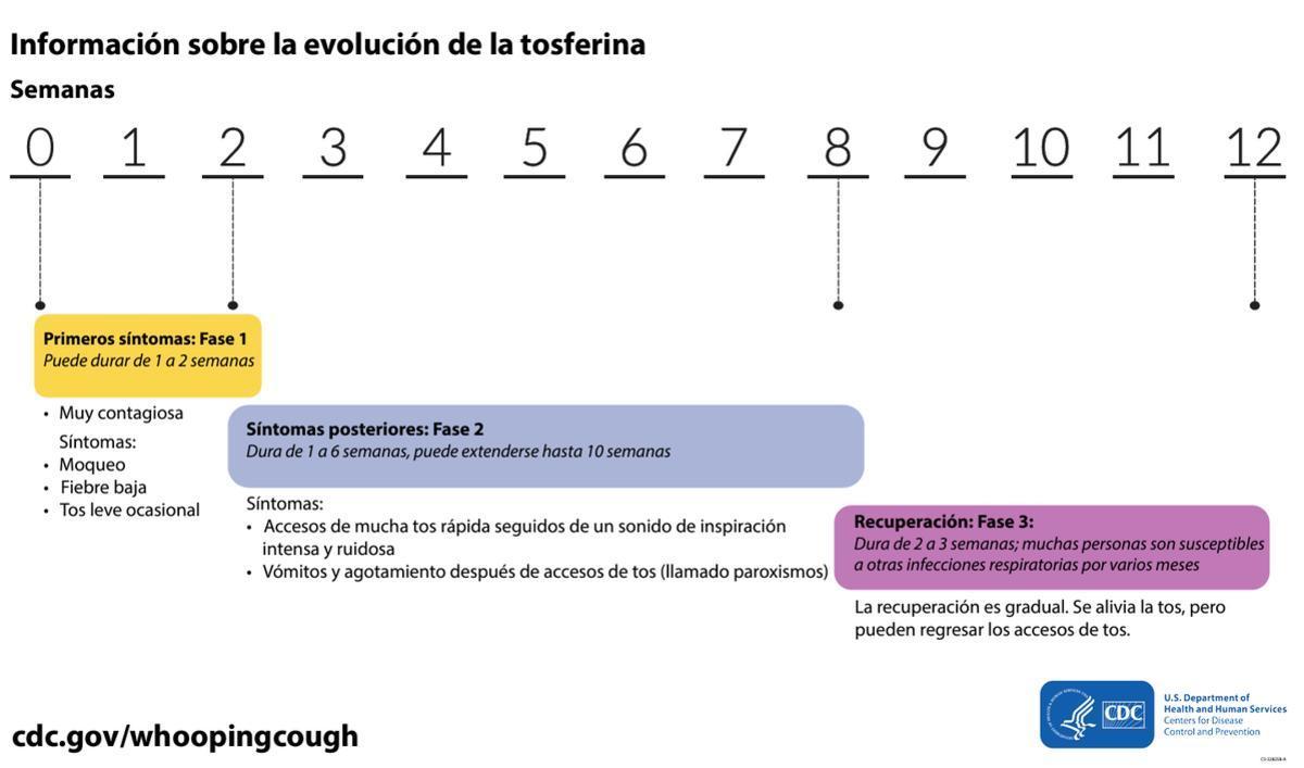 Stages of whooping cough