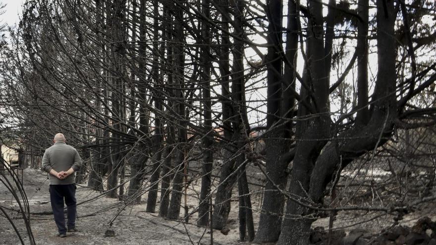 El Consejo Consultivo rechaza indemnizar a los afectados por los incendios de la Sierra de la Culebra de 2022: “Era imposible de abordar y controlar”