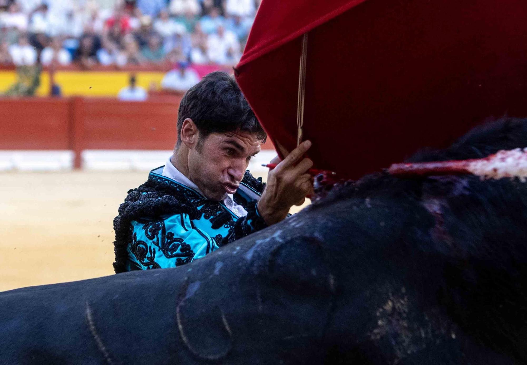 Manzanares culmina una de sus mejores tardes y sale a hombros en la Feria de Hogueras de Alicante 2025