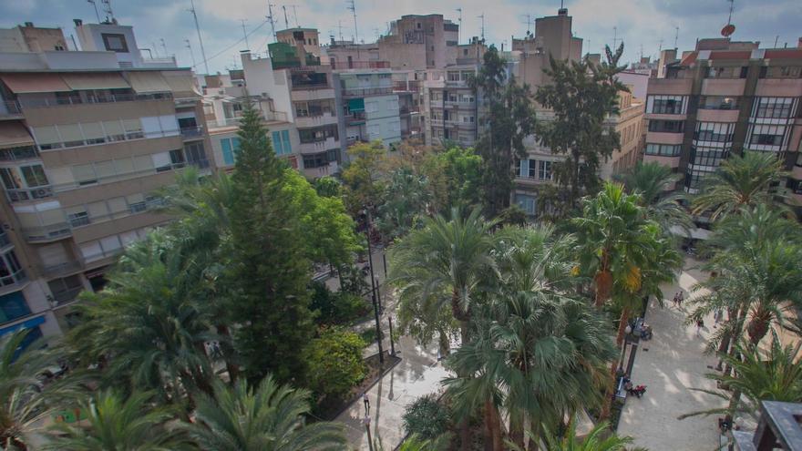 Una vista panorámica de la Glorieta de Elche, situada en pleno casco histórico.  | SERGIO FERRÁNDEZ