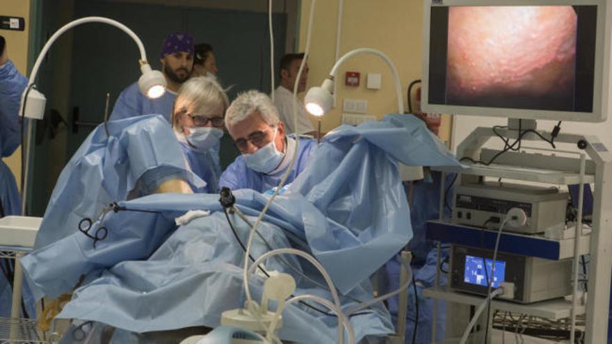 El centro Cyborg de la UMH ensaya técnicas quirúrgicas de vagina en cadáveres