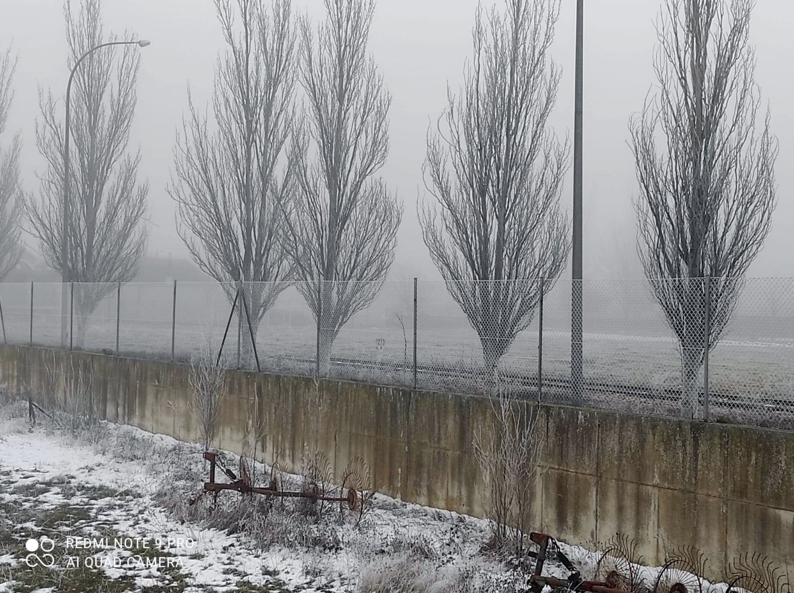 Cencellada en Benavente | Villaveza del Agua, más blanca que nunca