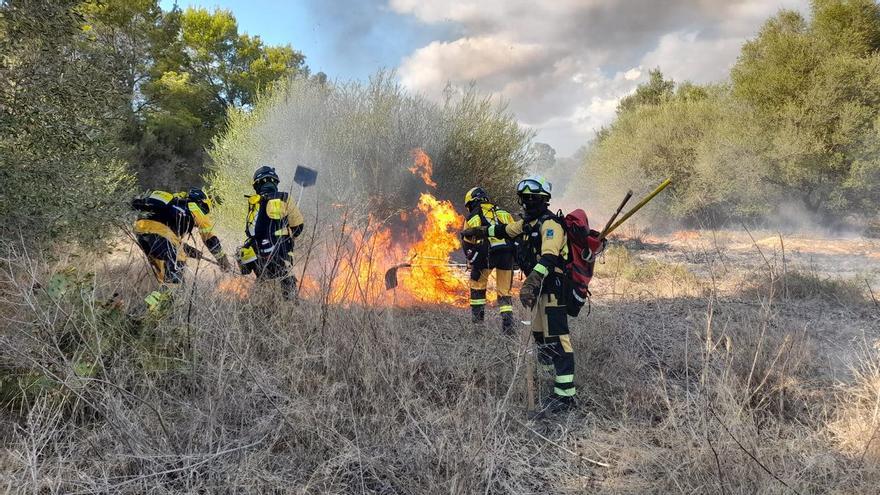 Brand Nahe Wohnsiedlung Auf Mallorca Zerstort Drei Hektar Land Mallorca Zeitung