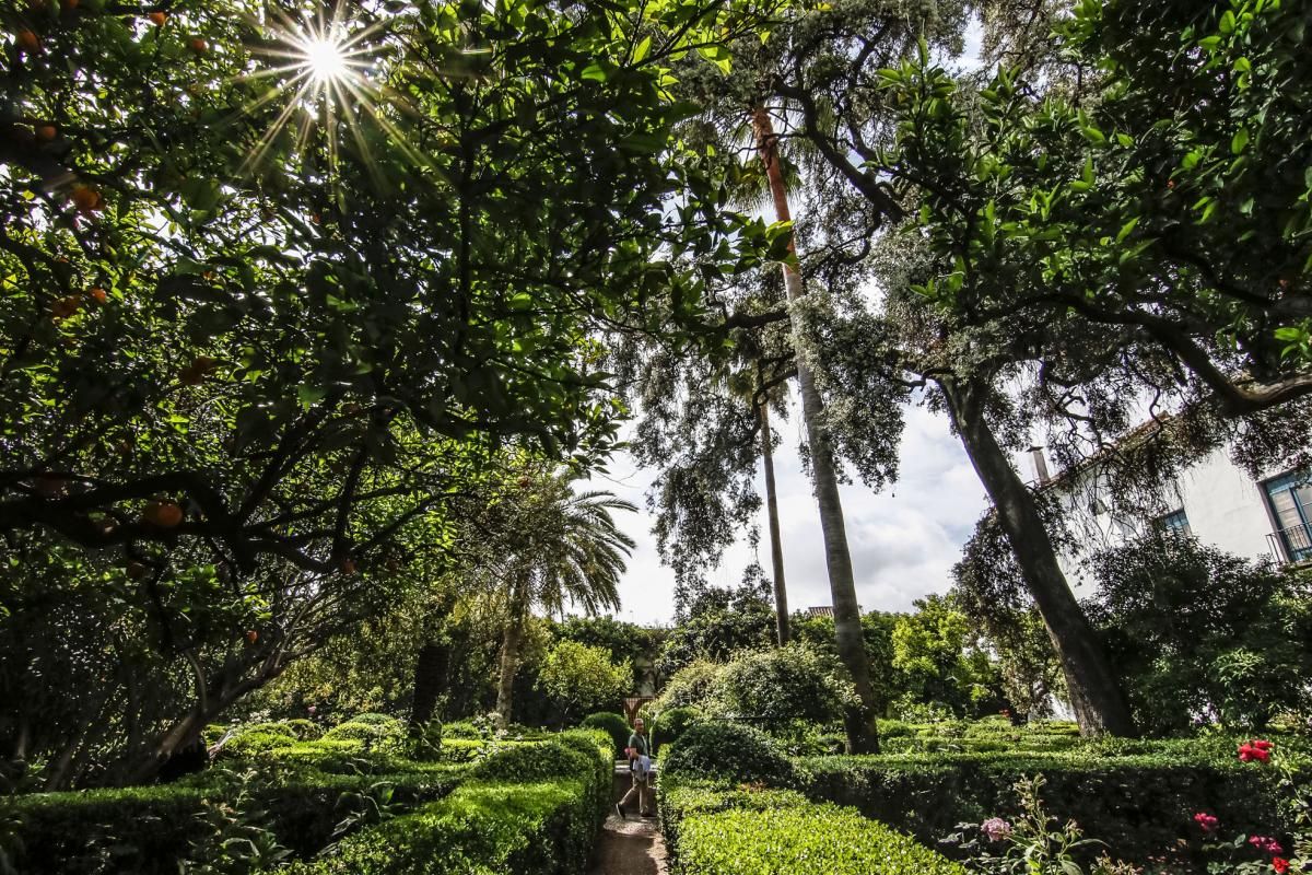 Los patios de Viana se abren a los visitantes del Mayo cordobés