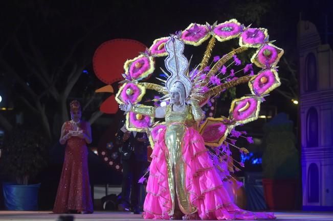 ELECCION DE LA GRAN DAMA DEL CARNAVAL MASPALOMAS ...