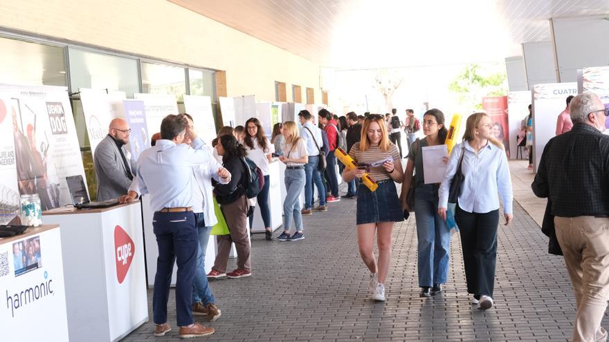 La Universidad de Alicante reforzará el próximo curso cinco titulaciones con más plazas y promocionará los estudios de Medicina