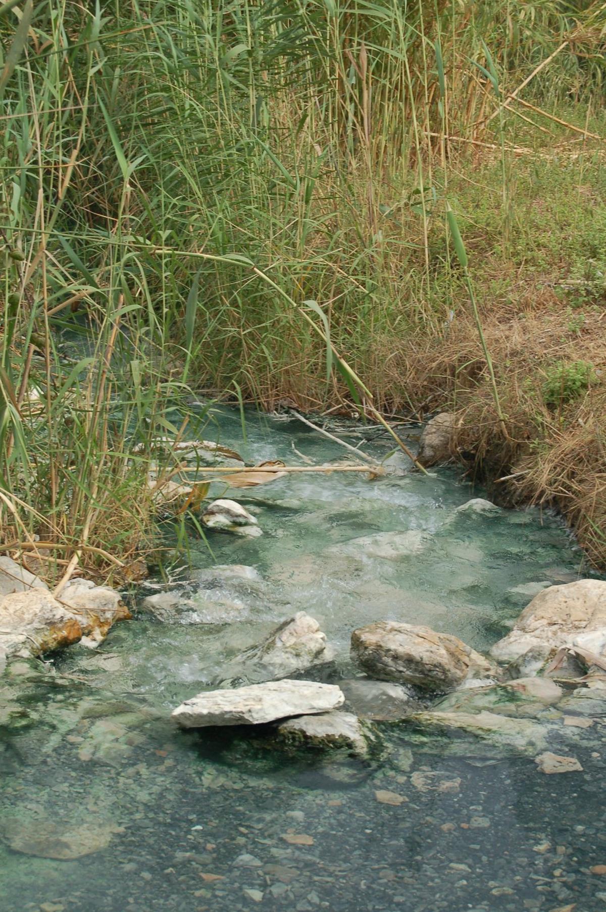 Baños de la Hedionda