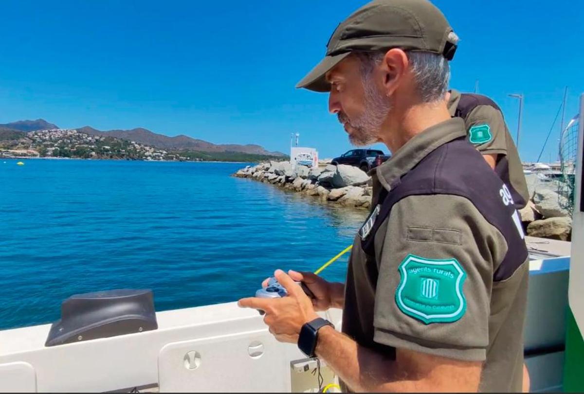 Agentes rurales realizan controles en el Alt Empordà.