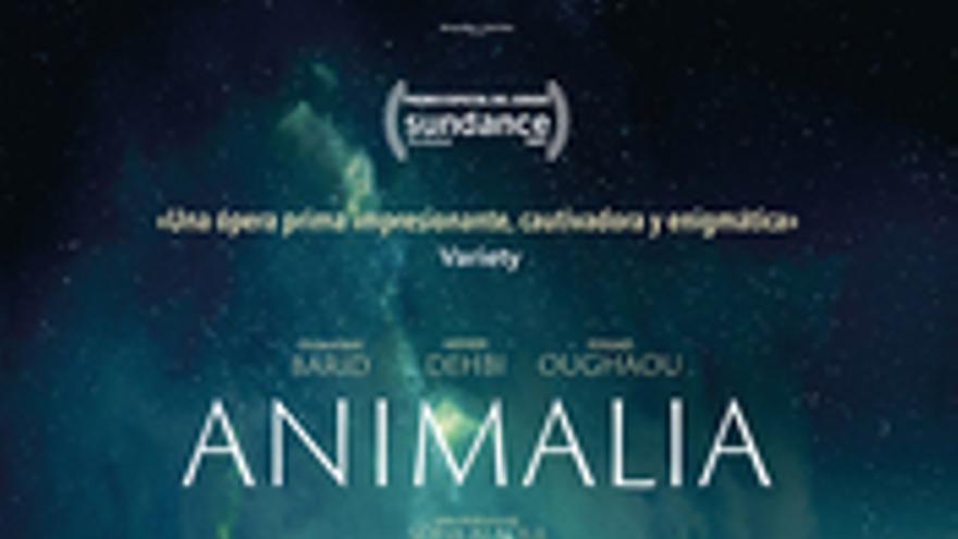 Animalia