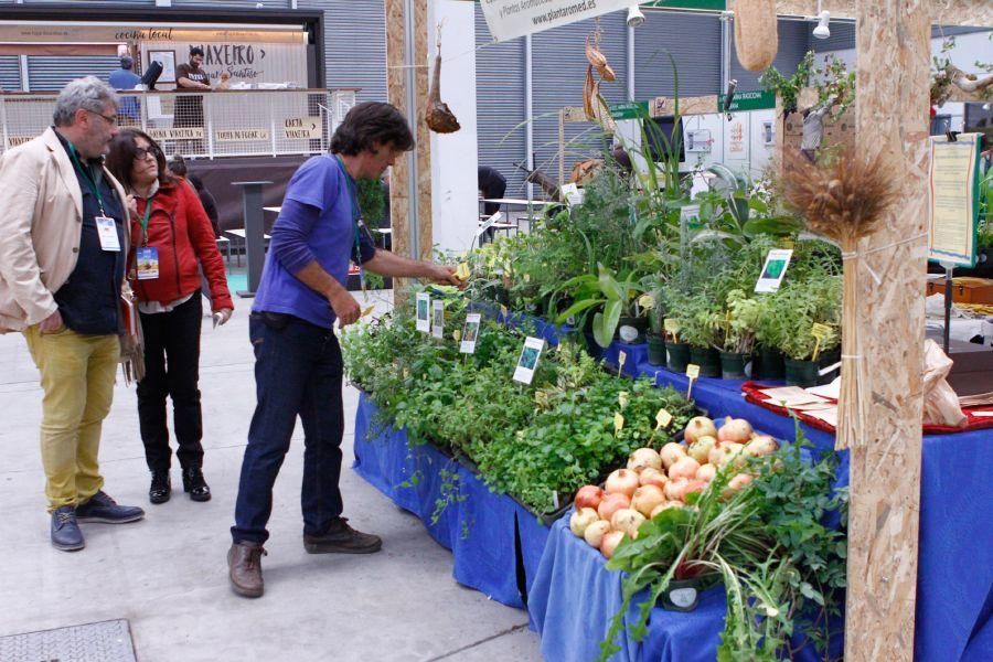 Ecocultura Zamora 2016