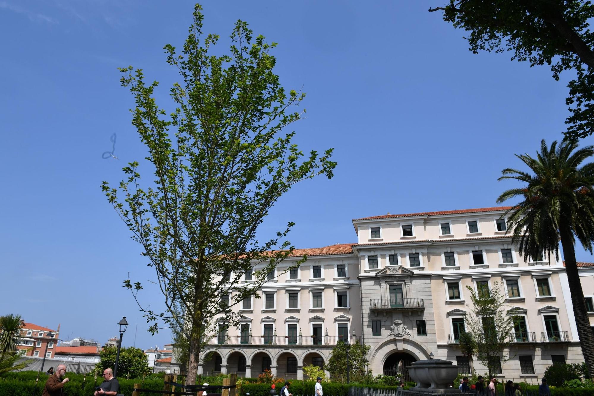 Reapertura del jardín de San Carlos