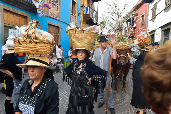 Carretas y grupos en la romería del Pino