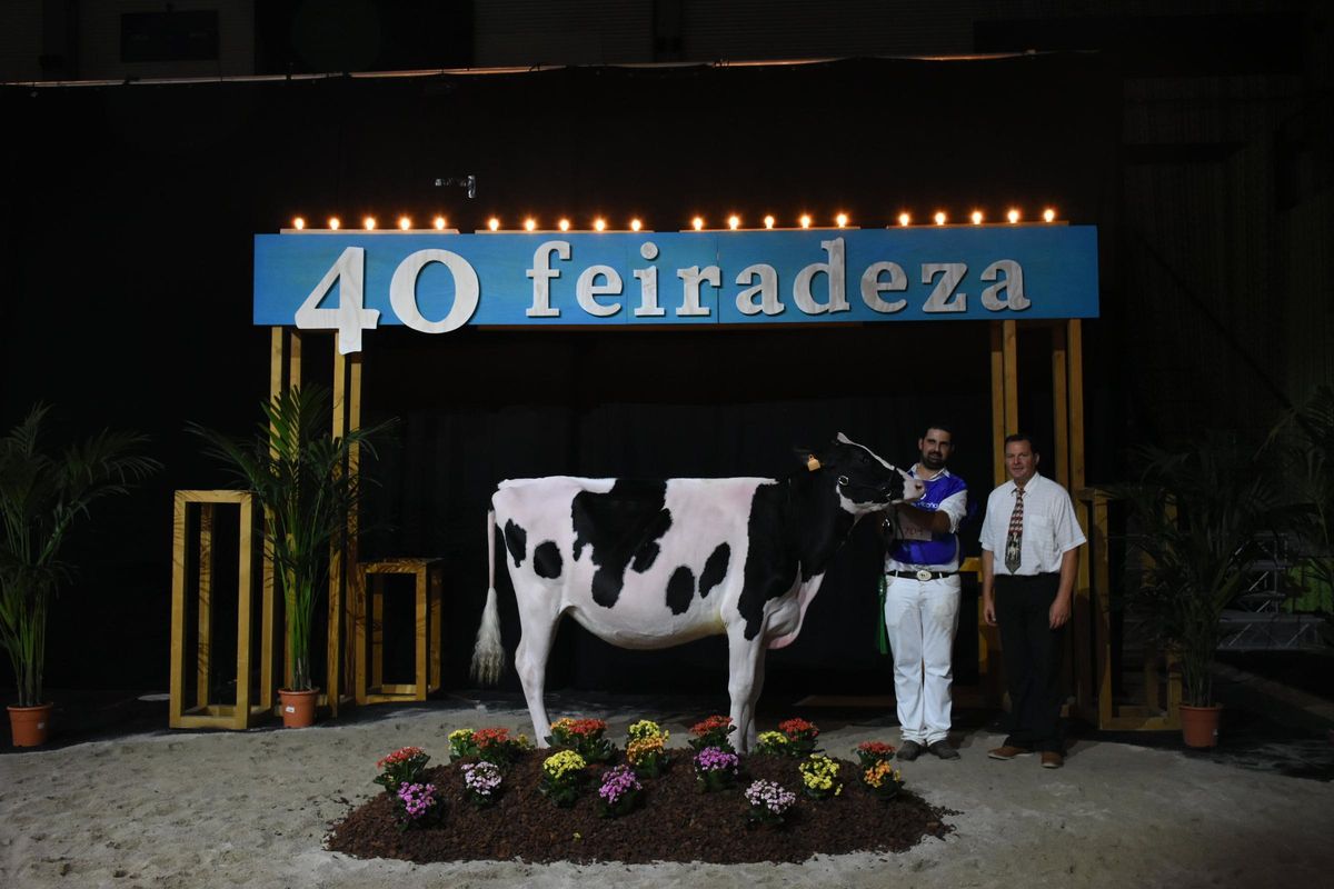 El ejemplar ganador en vacas jóvenes.