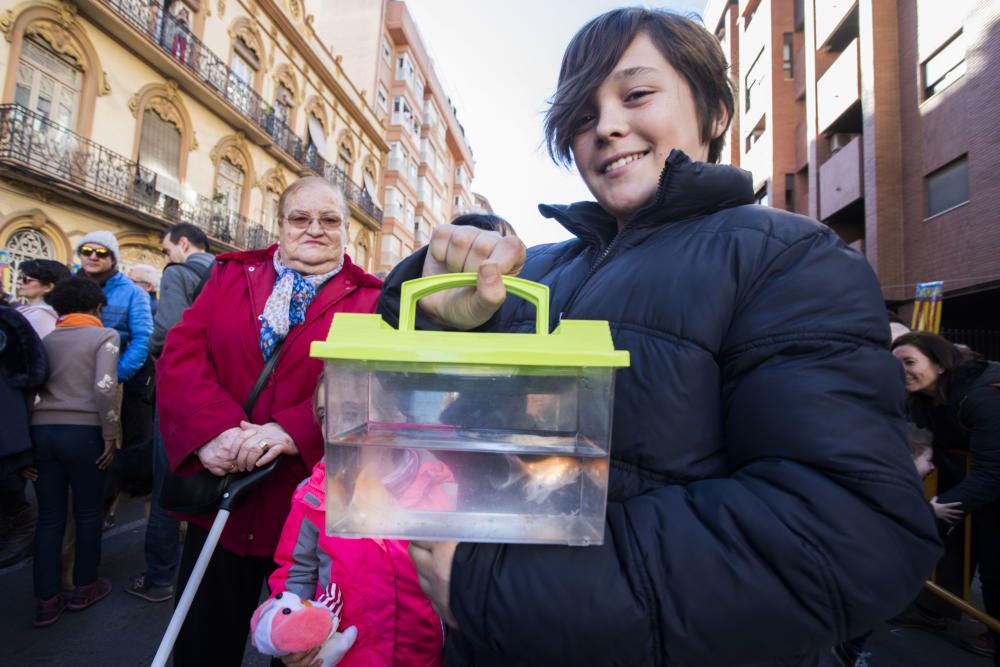 Bendición de animales por Sant Antoni del Porquet