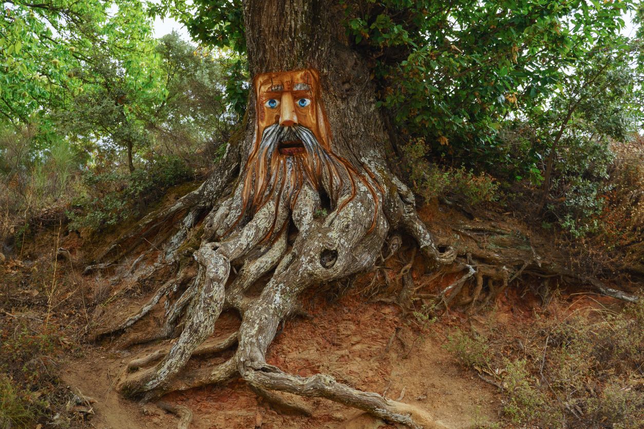 Bosque encantado en Parauta, Málaga.