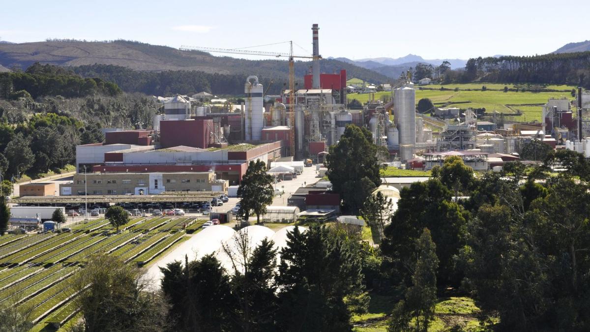 Vista general de la fábrica de Ence en Navia