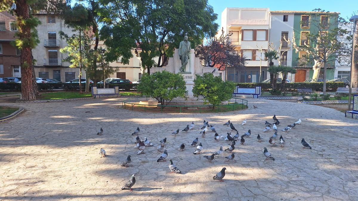Fotogalería I Las palomas y tórtolas 'toman' el emblemático jardín de Sant Pasqual de Vila-real
