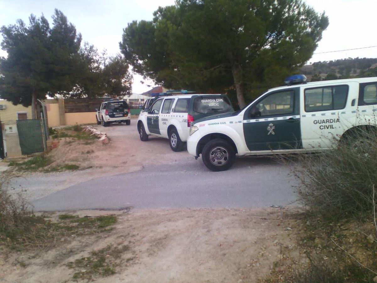 La Guardia Civil desarticula en Aspe una banda dedicada al cultivo y venta de drogas