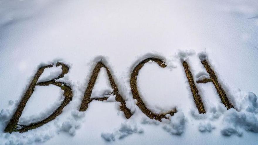 Bach bajo la nieve