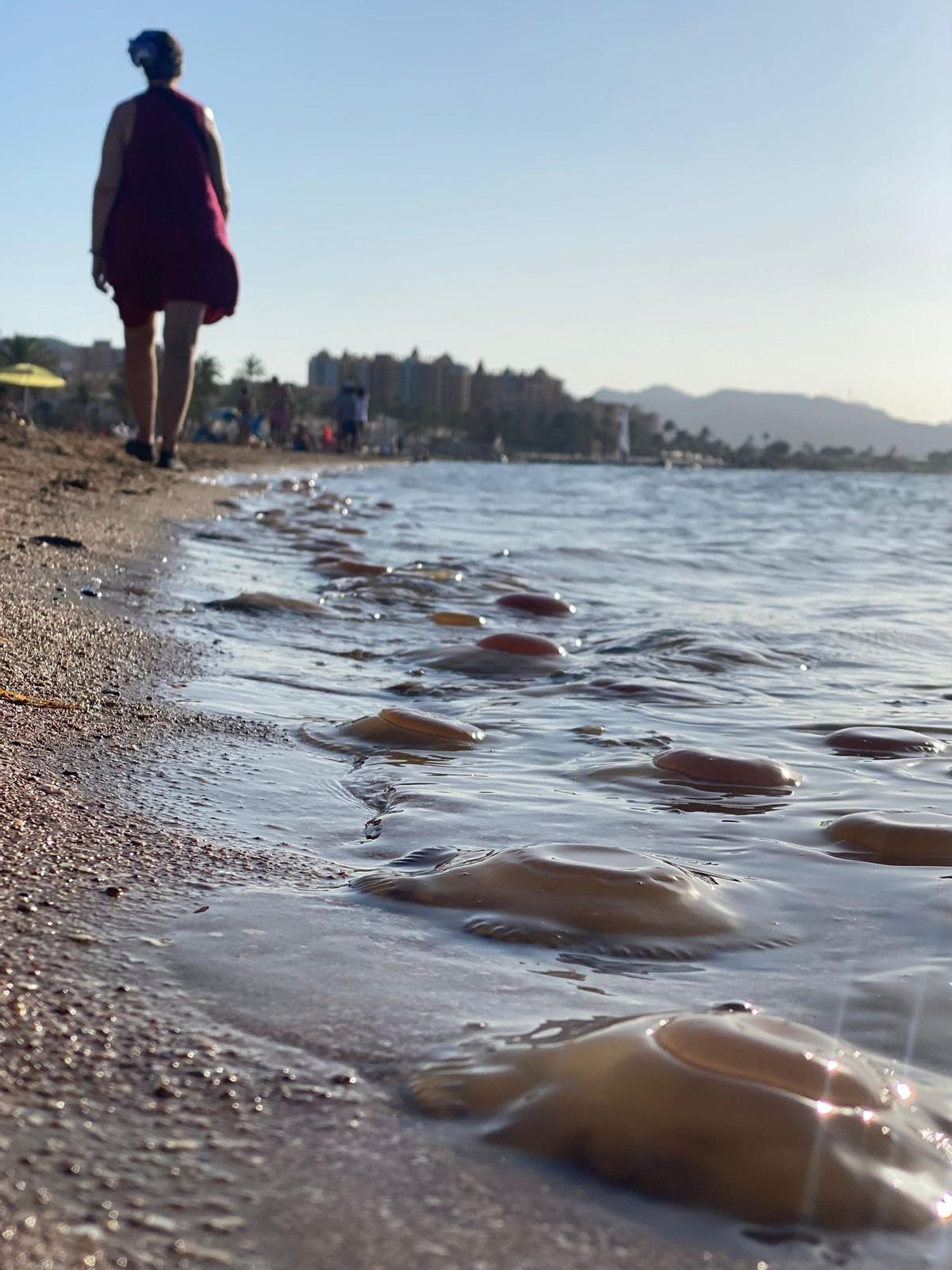 Una mujer pasea con el calzado puesto por la playa.