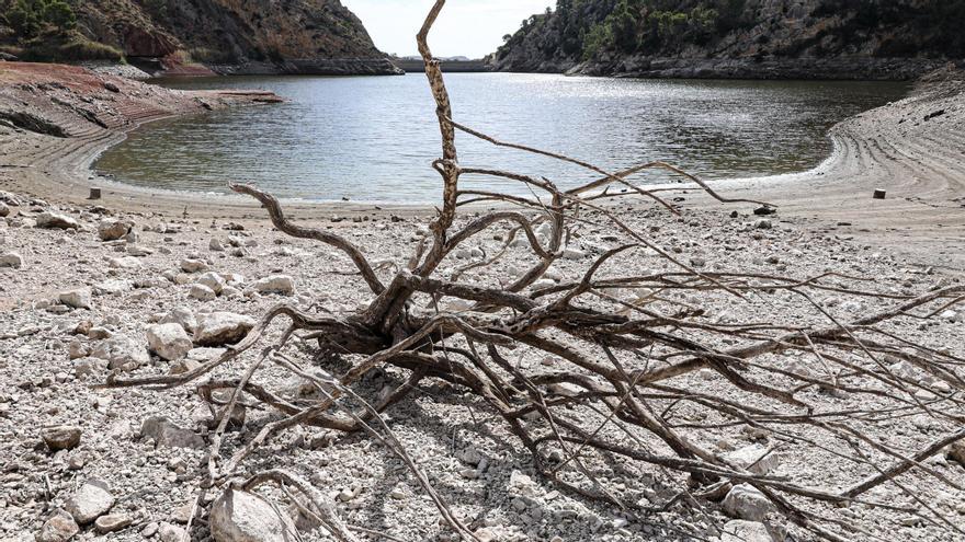 El Pantano de Tibi se queda sin agua