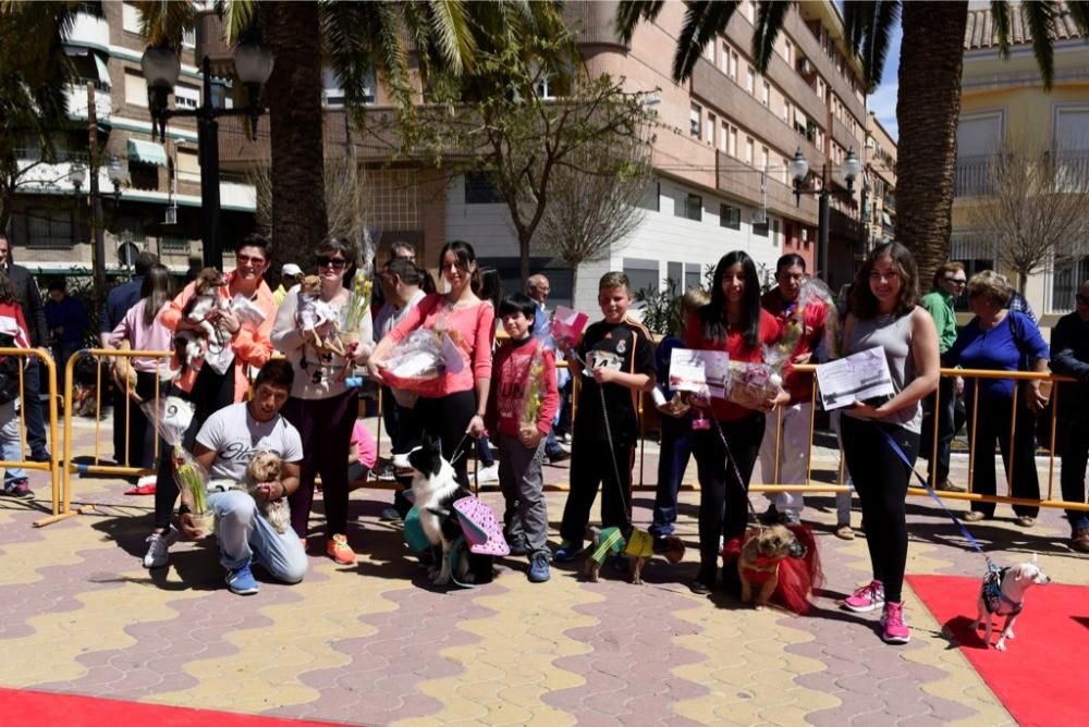 Garrapata fashion week, moda de perros en Jumilla