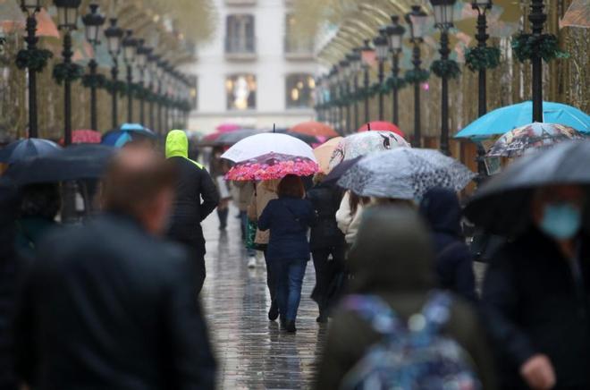 Los efectos de la borrasca Filomena en Málaga