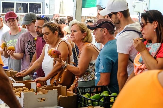 Mogán. Feria del Mango y Aguacate  | 01/09/2019 | Fotógrafo: José Carlos Guerra