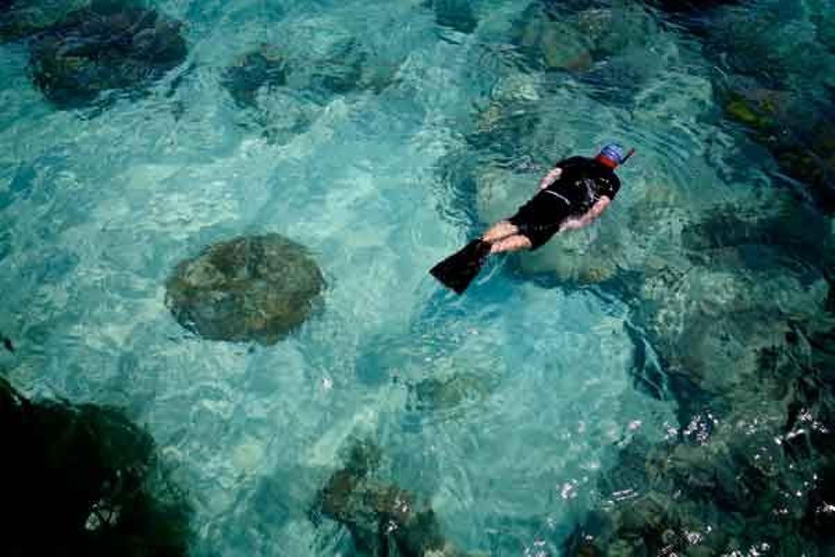 Gran Barrera de Coral, cerca de Cairns en Australia.