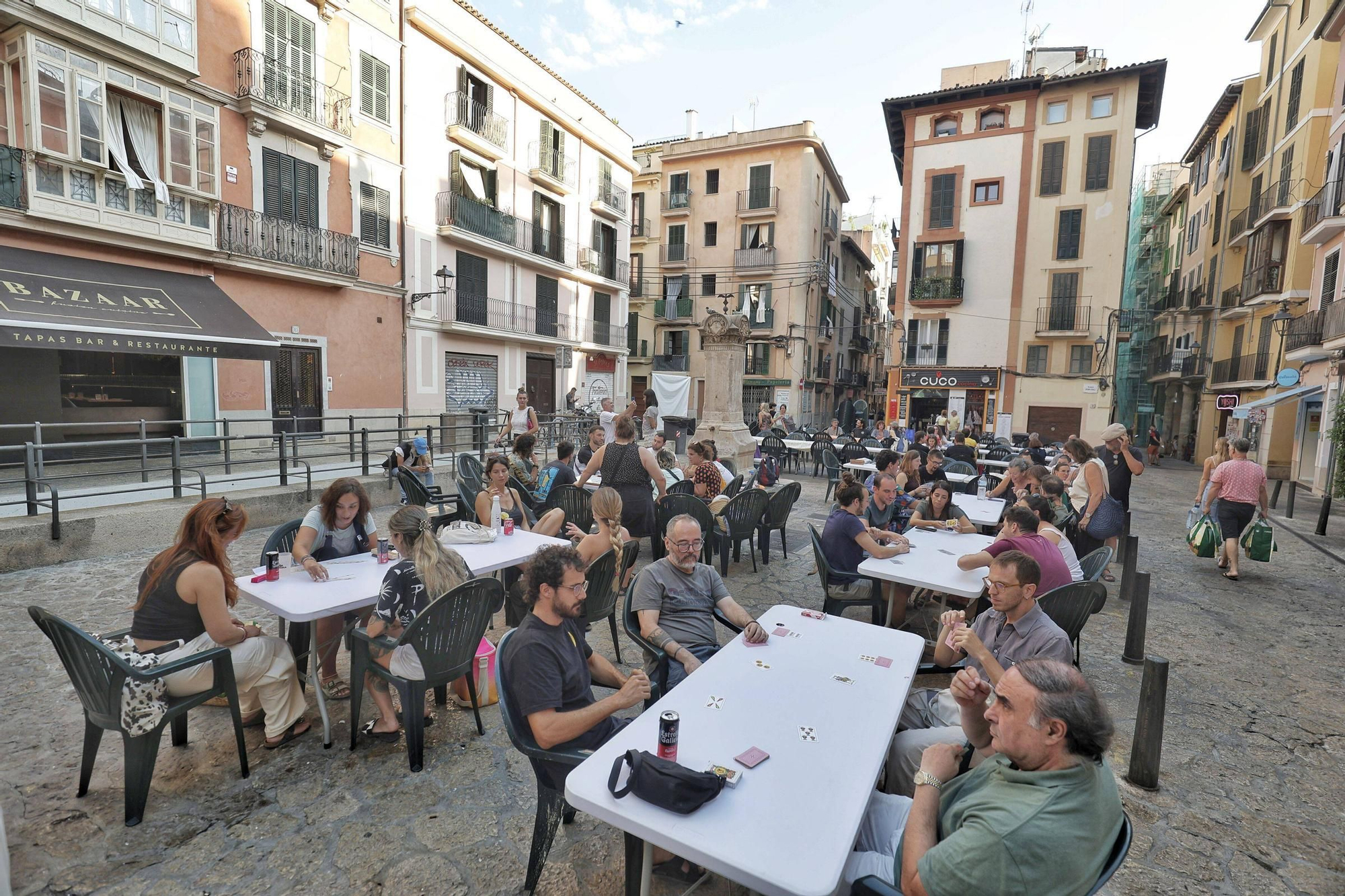 Truc en las plaza d'en Coll de Palma