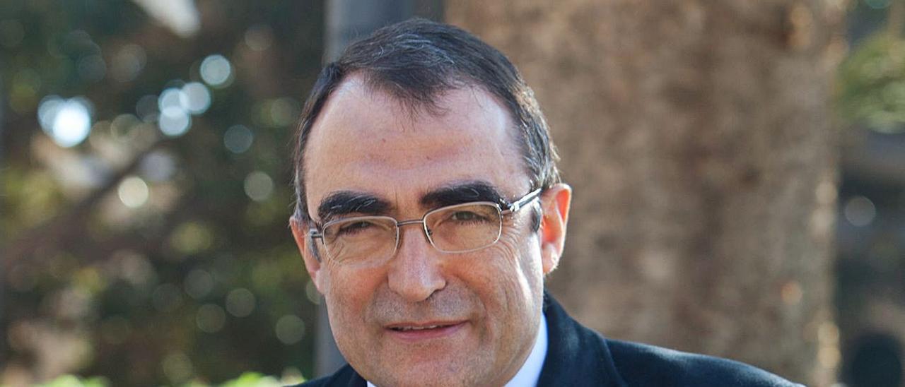 El catedrático de la Universidad  de Alicante Josep Bernabeu. | JOSE NAVARRO