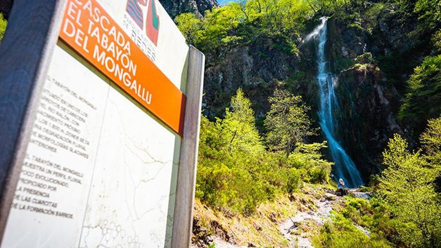 Ruta a la cascada de El Tabayón de Mongallu: descubre un salto de agua de singular belleza rodeado de un bosque de hayas