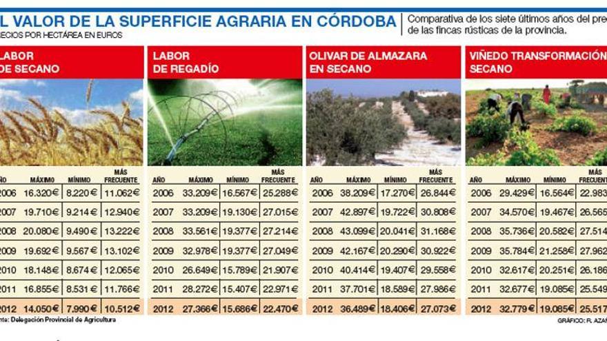 La venta de fincas agrarias se incrementa un 20% en Córdoba