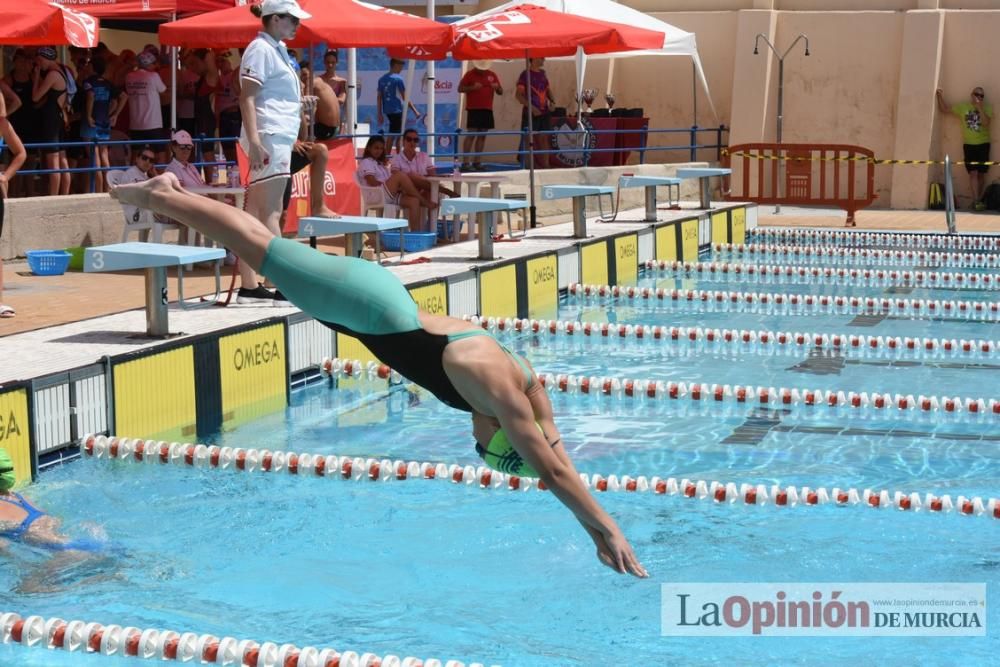 Final del Campeonato regional de natación.