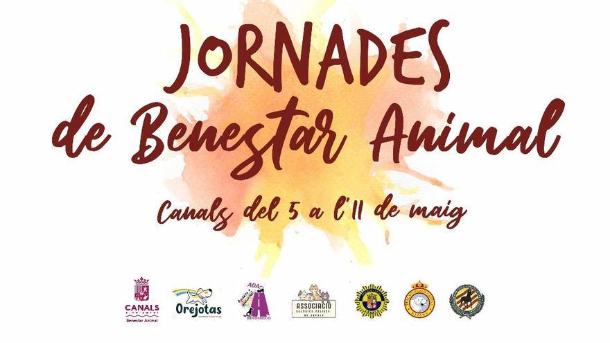 Cartel de la feria y las jornadas de bienestar animal en Canals.