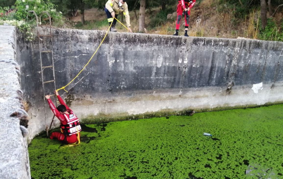 Efectius de Bombers rescaten un cabirol d&#039;una bassa de Riner