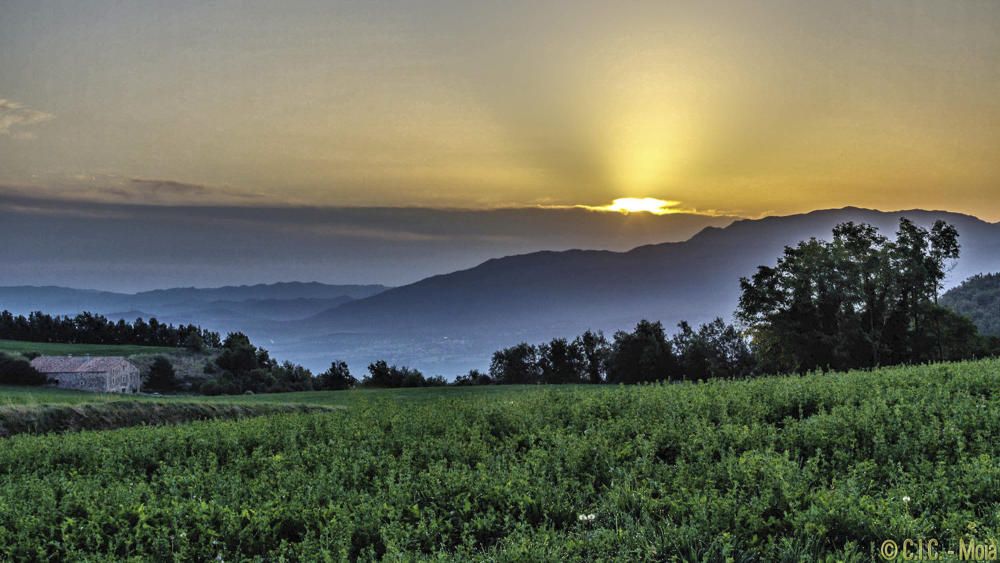 Bonica i ennuvolada sortida del sol a Collsuspina.