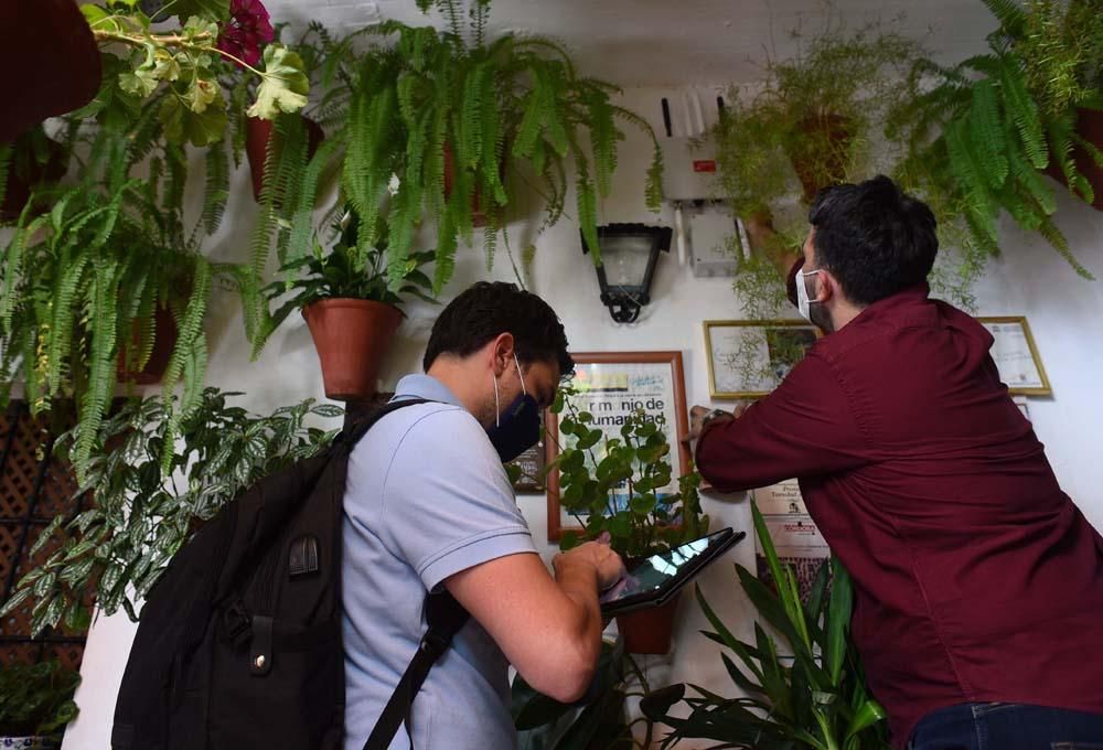 Últimos preparativos del Festival de Patios