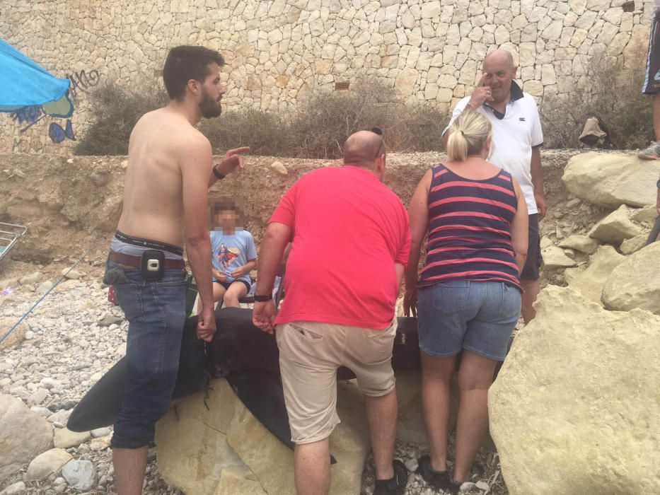 Investigadores de la Universidad de Valencia trasladan al tiburón