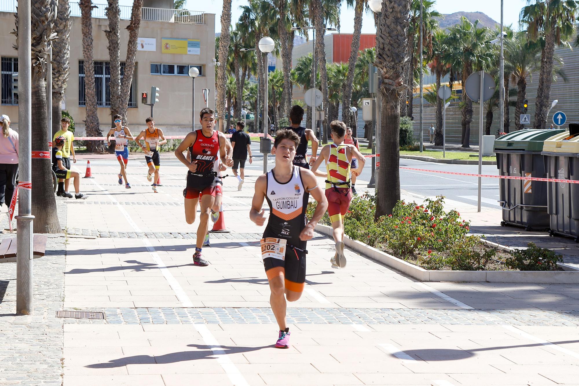 Campeonatos de España de Triatlón Sprint