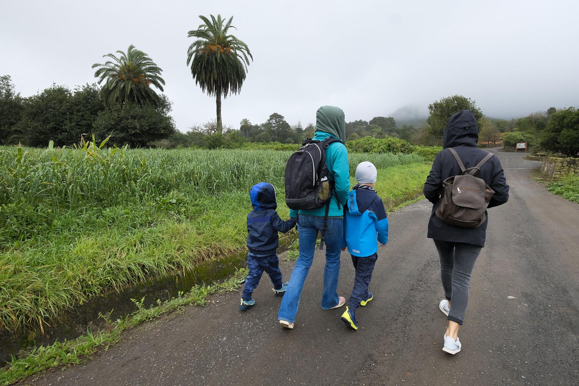 Las medianías de Gran Canaria tras las lluvias de enero