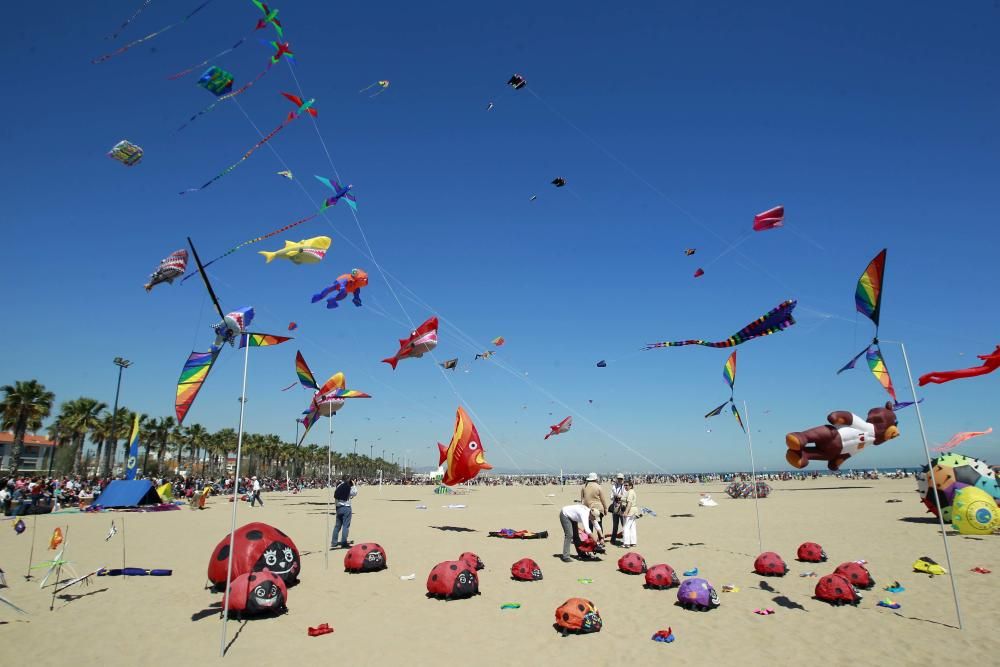 Festival del Viento 2016 en la Malva-rosa