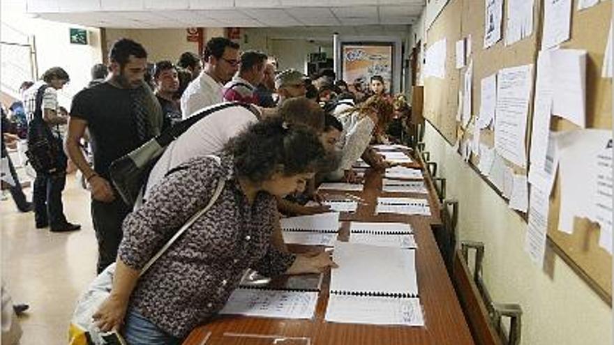 Varios solicitantes miran las listas del sorteo en la escuela de idiomas de Valencia, ayer.