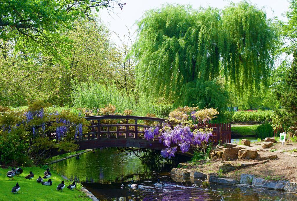 Cerca del bello Regent's Park se encuentra Marylebone Village