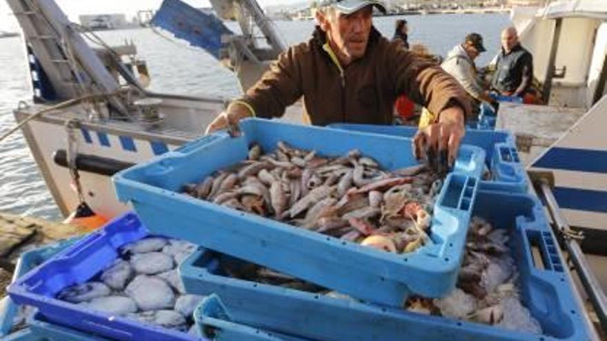 Un catedrático de la UA lleva un estudio a Bruselas para reducir la pesca