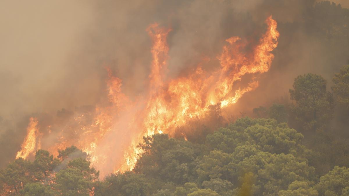 Un incendio en Sierra Bermeja provoca el desalojo de 500 personas