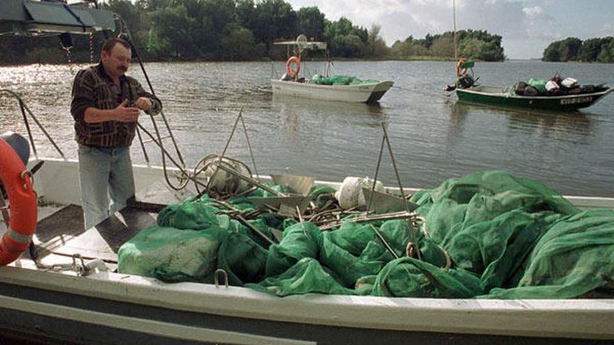 Un pescador prepara las redes en su barco en la desembocadura del Miño, en Tui.