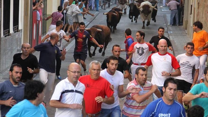 Seis toros de Torrestrella correrán en el encierro de las fiestas de mayo