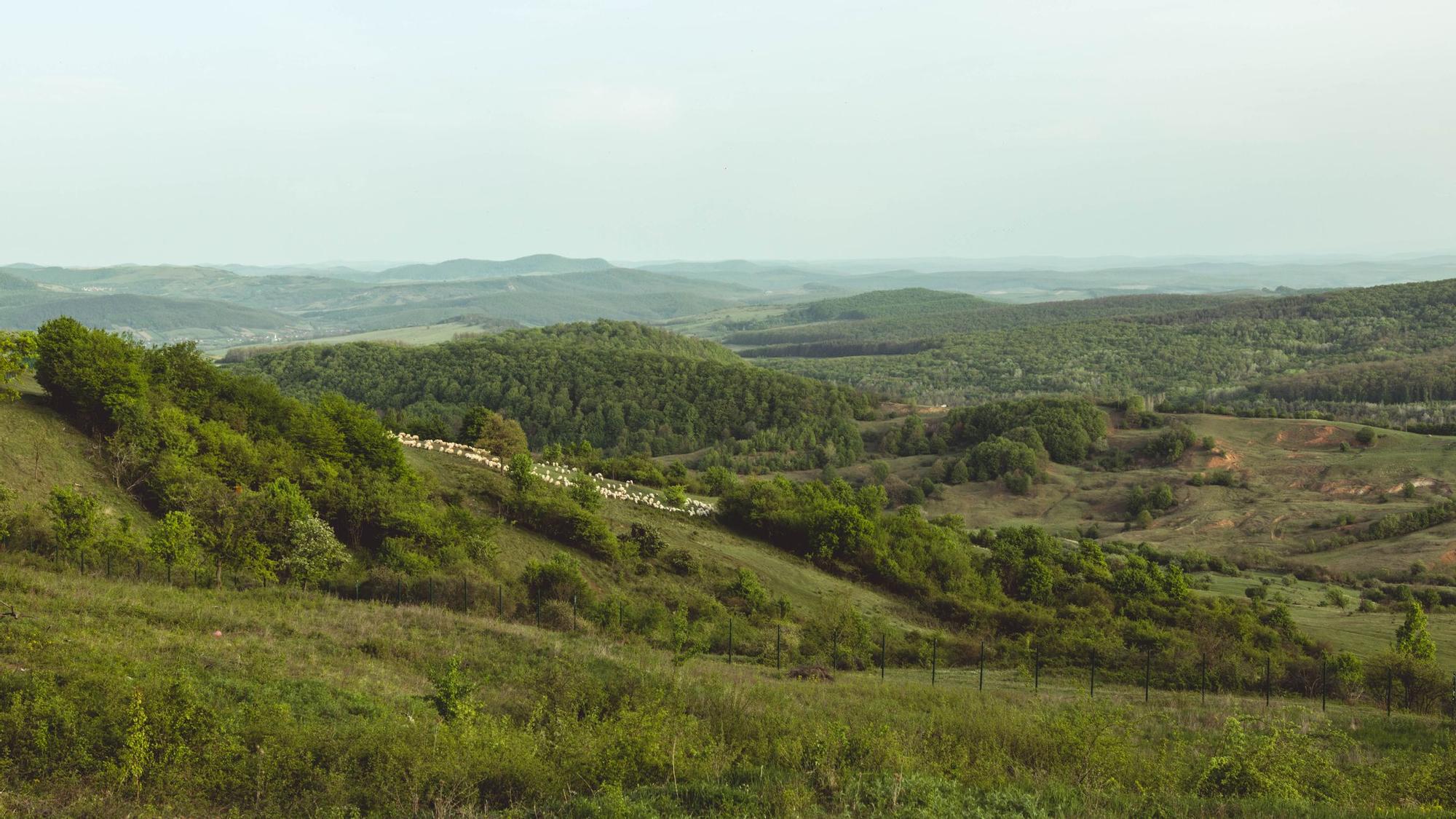 Ruinas romanas de Dacia