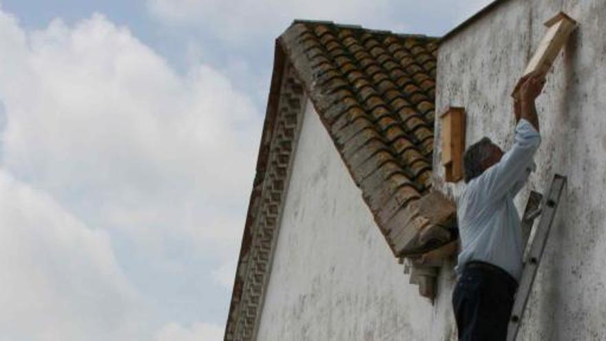 Un agricultor coloca una caja nido para murciélagos